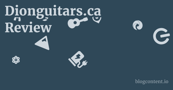 Dionguitars.ca Review