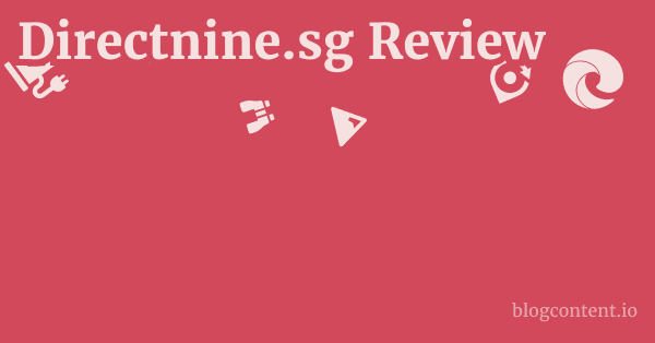 Directnine.sg Review 1 by Partners