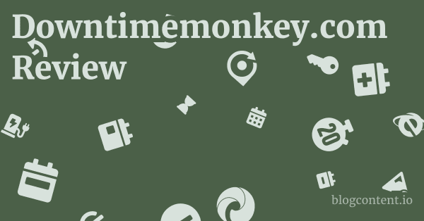 Downtimemonkey.com Review 1 by Partners