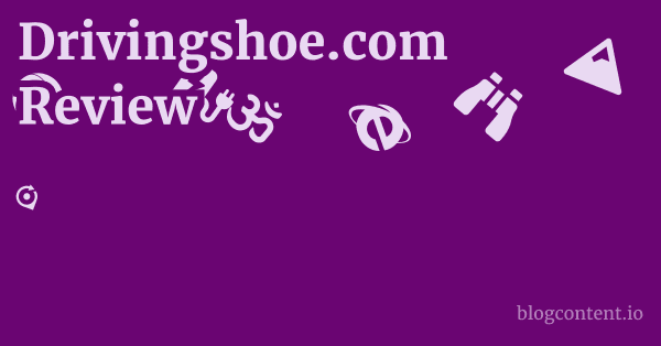 Drivingshoe.com Review 1 by Partners