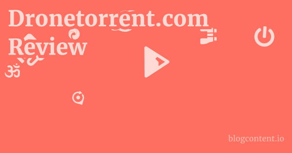 Dronetorrent.com Review 1 by Partners