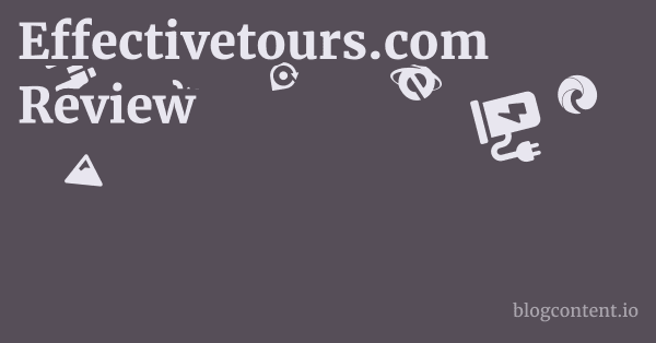Effectivetours.com Review 1 by Partners