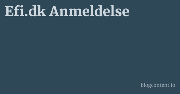Efi.dk Anmeldelse 1 by Partners