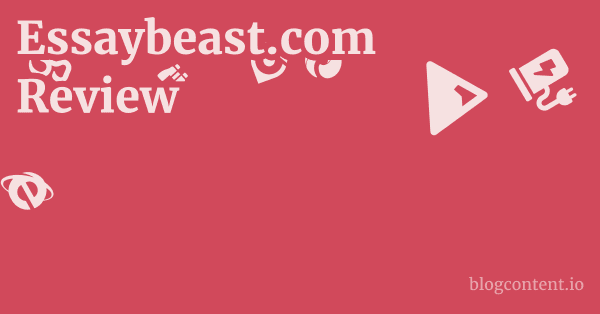 Essaybeast.com Review 1 by Partners