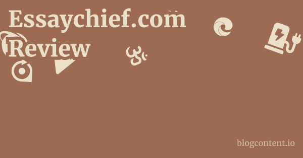Essaychief.com Review 1 by Partners