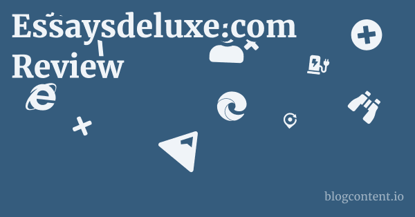 Essaysdeluxe.com Review 1 by Partners