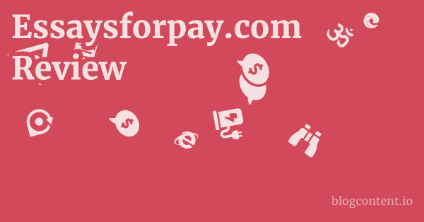 Essaysforpay.com Review 1 by Partners