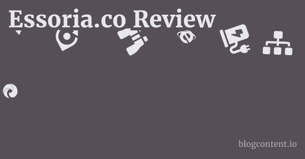 Essoria.co Review 1 by Partners