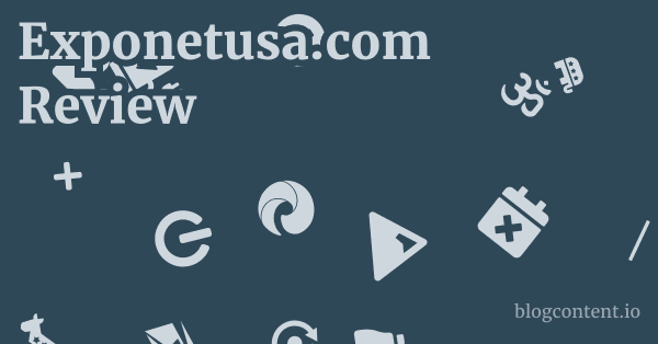 Exponetusa.com Review 1 by Partners