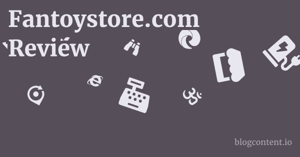 Fantoystore.com Review 1 by Partners