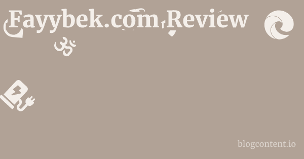 Fayybek.com Review 1 by Partners