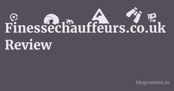 Finessechauffeurs.co.uk Review 1 by Partners