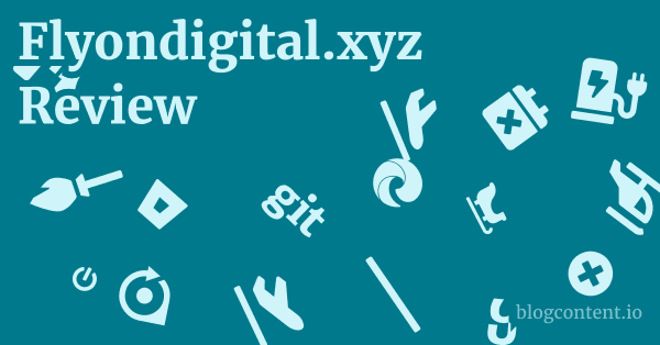 Flyondigital.xyz Review 1 by Partners