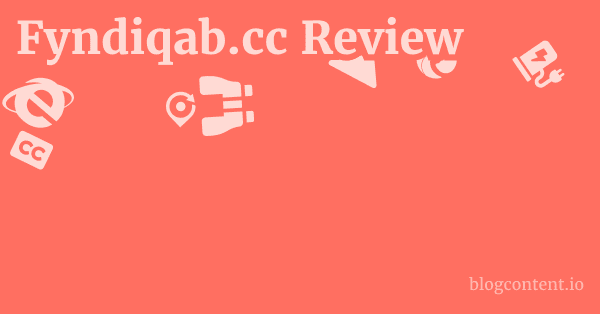 Fyndiqab.cc Review 1 by Partners