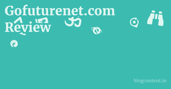 Gofuturenet.com Review 1 by Partners