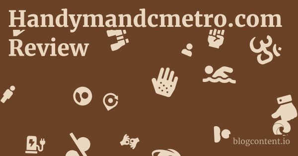 Handymandcmetro.com Review