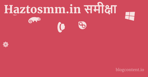 Haztosmm.in समीक्षा