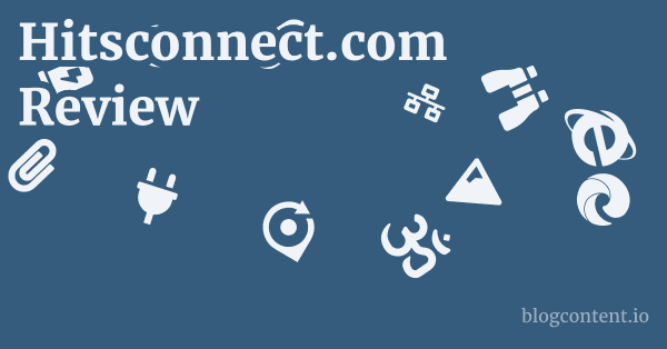 Hitsconnect.com Review 1 by Partners