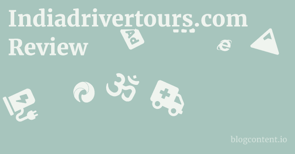 Indiadrivertours.com Review 1 by Partners