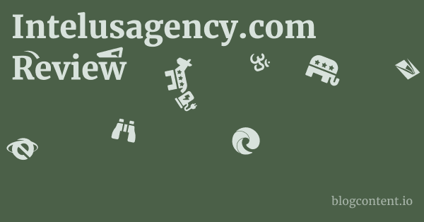Intelusagency.com Review 1 by Partners