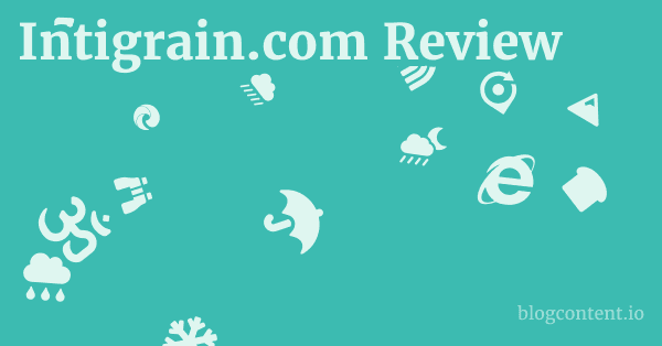 Intigrain.com Review 1 by Partners