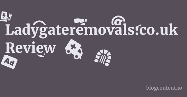 Ladygateremovals.co.uk Review 1 by Partners