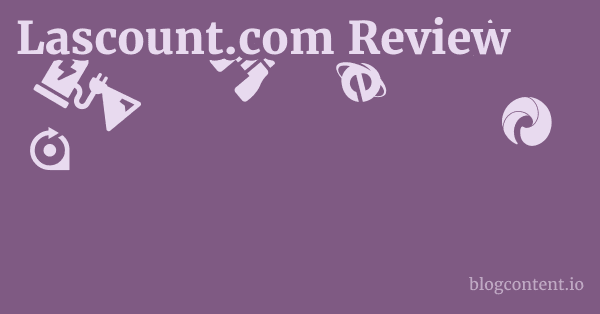 Lascount.com Review 1 by Partners