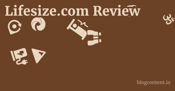 Lifesize.com Review 1 by Partners