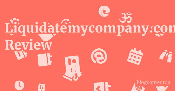 Liquidatemycompany.com Review 1 by Partners
