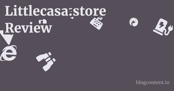 Littlecasa.store Review 1 by Partners
