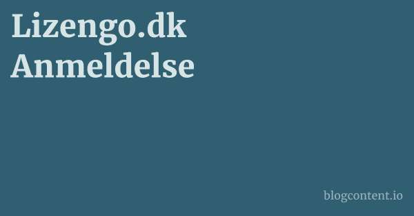 Lizengo.dk Anmeldelse 1 by Partners