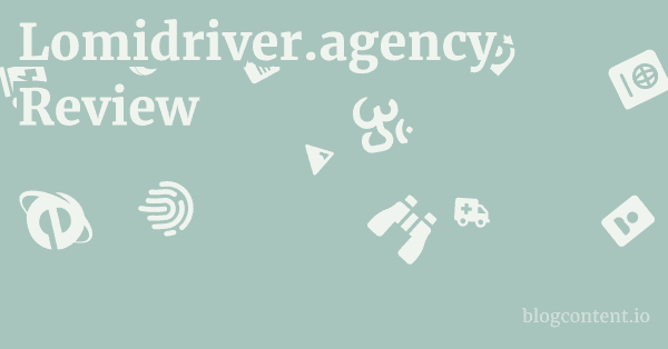 Lomidriver.agency Review 1 by Partners