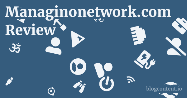 Managinonetwork.com Review 1 by Partners