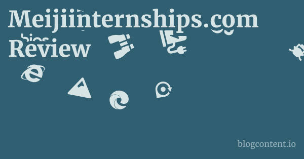 Meijiinternships.com Review 1 by Partners