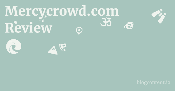 Mercycrowd.com Review 1 by Partners