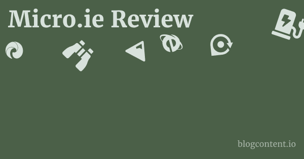 Micro.ie Review 1 by Partners