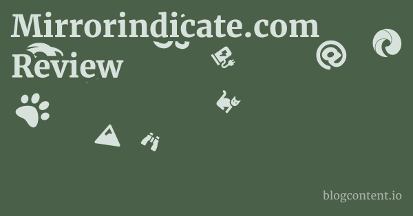 Mirrorindicate.com Review 1 by Partners