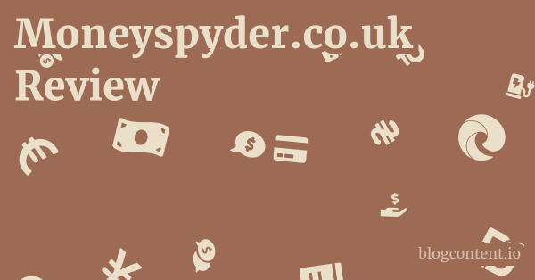 Moneyspyder.co.uk Review 1 by Partners