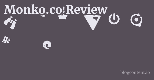 Monko.co Review 1 by Partners