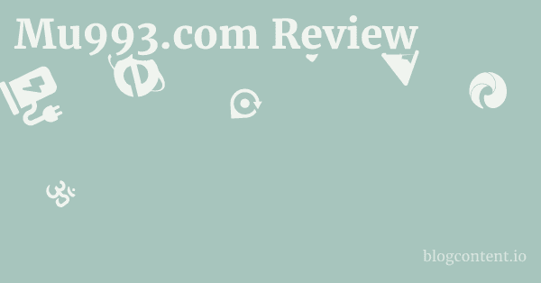 Mu993.com Review 1 by Partners