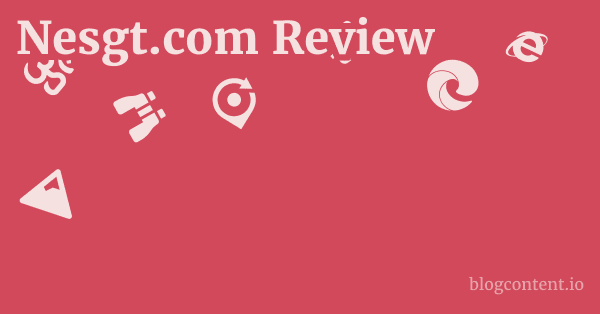 Nesgt.com Review 1 by Partners
