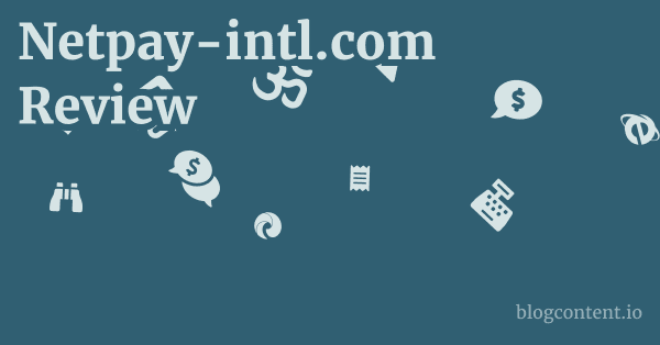 Netpay-intl.com Review 1 by Partners