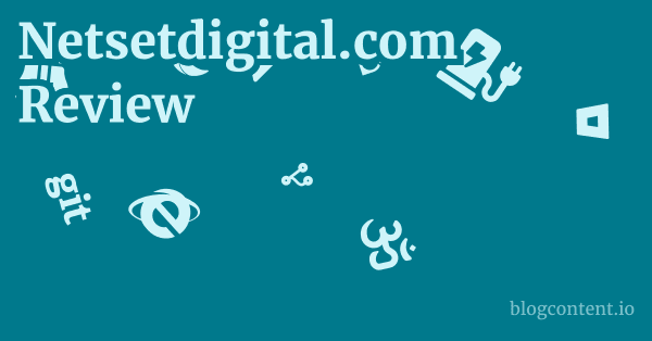 Netsetdigital.com Review 1 by Partners