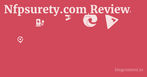 Nfpsurety.com Review 1 by Partners