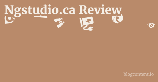 Ngstudio.ca Review 1 by Partners