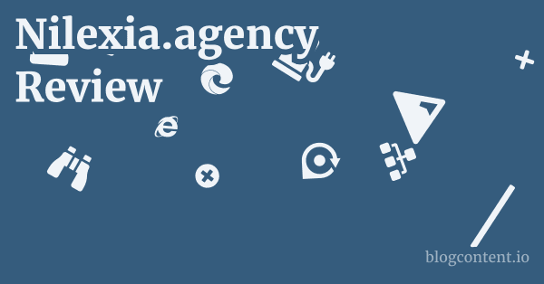 Nilexia.agency Review 1 by Partners