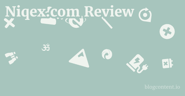 Niqex.com Review 1 by Partners