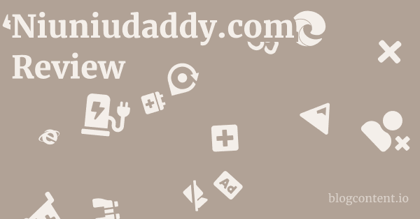 Niuniudaddy.com Review 1 by Partners