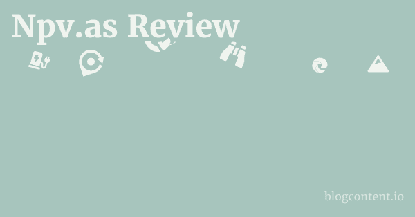 Npv.as Review 1 by Partners