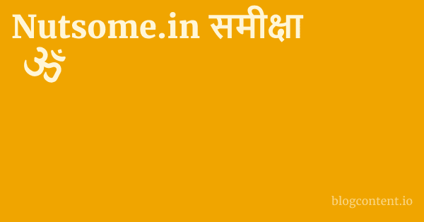 Nutsome.in समीक्षा 1 by Partners